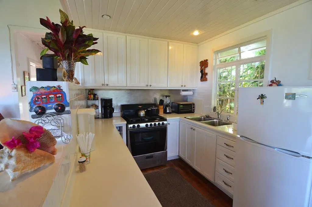 Tranquility Villa Port Antonio