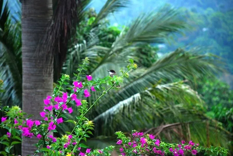 Tranquility Villa Port Antonio Jamaica